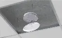 51Zi8fWUTFL._AC_.webp
